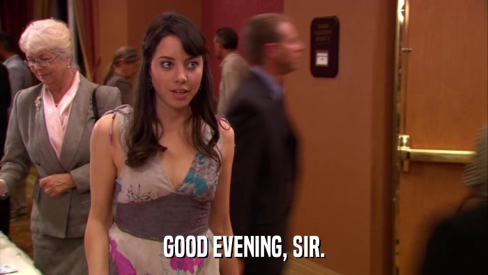 GOOD EVENING, SIR.  