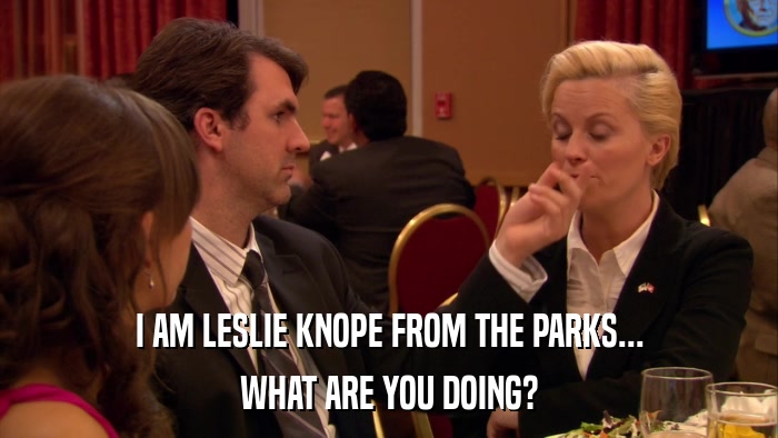 I AM LESLIE KNOPE FROM THE PARKS... WHAT ARE YOU DOING? 