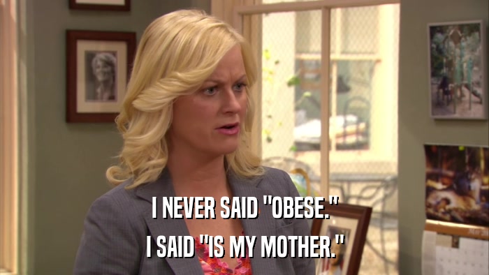 I NEVER SAID 