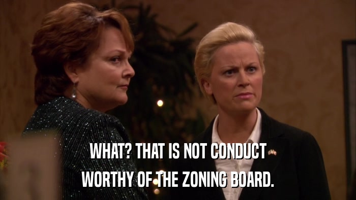 WHAT? THAT IS NOT CONDUCT WORTHY OF THE ZONING BOARD. 