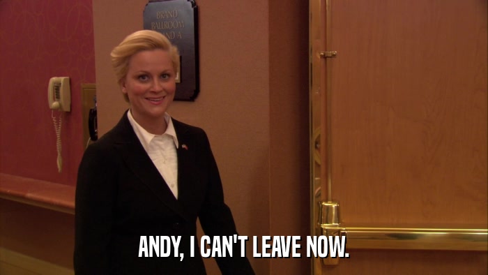 ANDY, I CAN'T LEAVE NOW.  