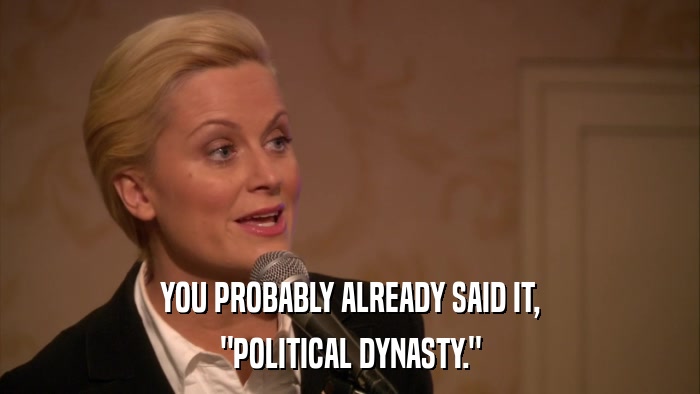 YOU PROBABLY ALREADY SAID IT, 