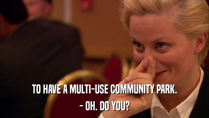 TO HAVE A MULTI-USE COMMUNITY PARK. - OH. DO YOU? 