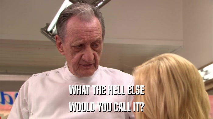WHAT THE HELL ELSE WOULD YOU CALL IT? 
