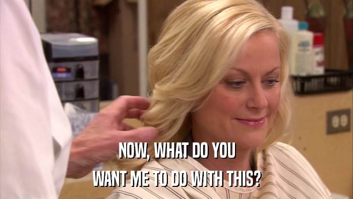 NOW, WHAT DO YOU WANT ME TO DO WITH THIS? 