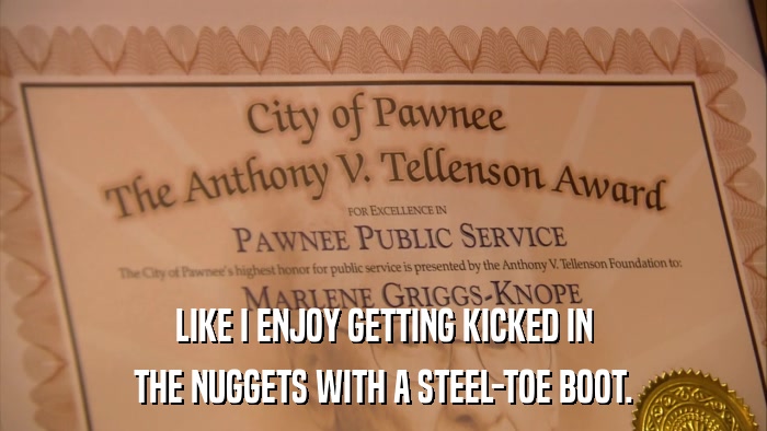 LIKE I ENJOY GETTING KICKED IN THE NUGGETS WITH A STEEL-TOE BOOT. 