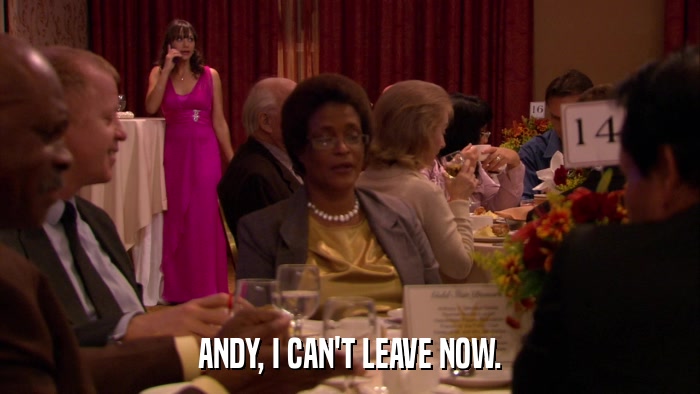 ANDY, I CAN'T LEAVE NOW.  