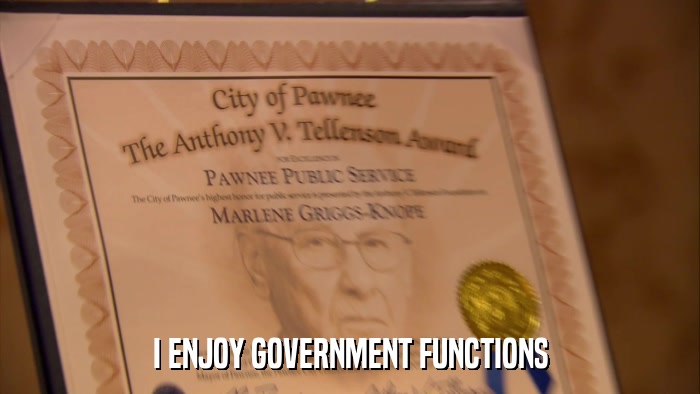 I ENJOY GOVERNMENT FUNCTIONS  