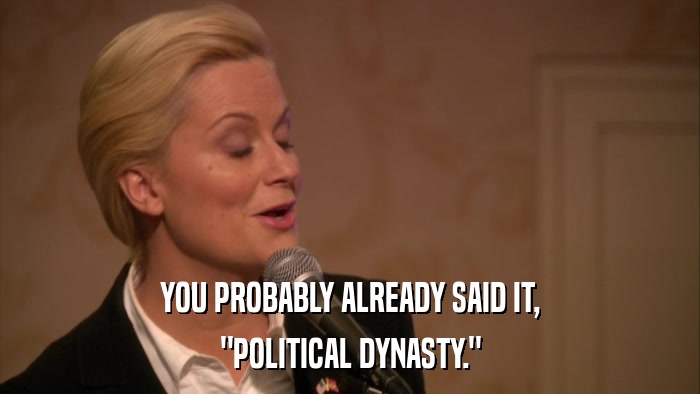 YOU PROBABLY ALREADY SAID IT, 
