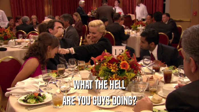 WHAT THE HELL ARE YOU GUYS DOING? 
