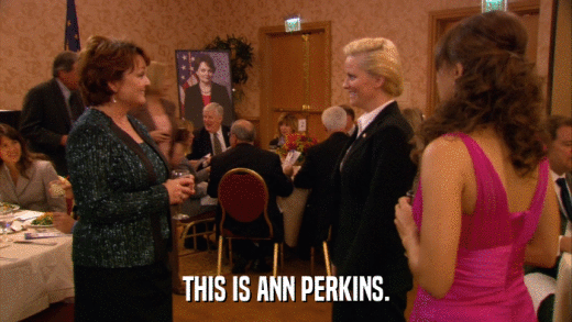 THIS IS ANN PERKINS.  
