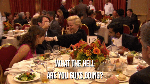 WHAT THE HELL ARE YOU GUYS DOING? 