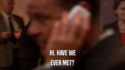 HI. HAVE WE EVER MET? 
