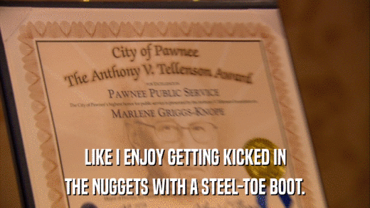 LIKE I ENJOY GETTING KICKED IN THE NUGGETS WITH A STEEL-TOE BOOT. 