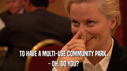 TO HAVE A MULTI-USE COMMUNITY PARK. - OH. DO YOU? 