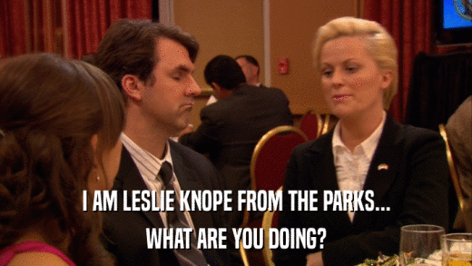 I AM LESLIE KNOPE FROM THE PARKS... WHAT ARE YOU DOING? 