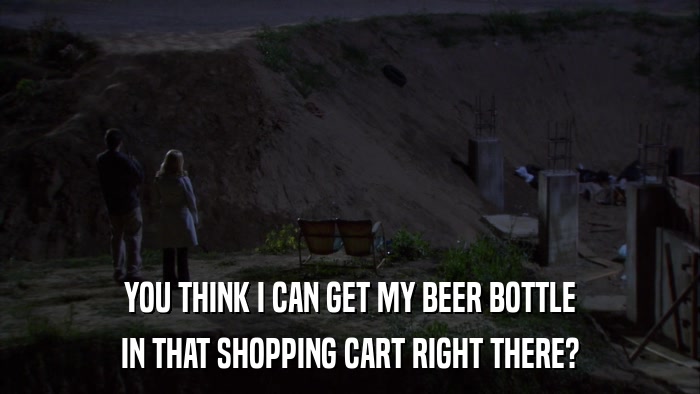 YOU THINK I CAN GET MY BEER BOTTLE IN THAT SHOPPING CART RIGHT THERE? 