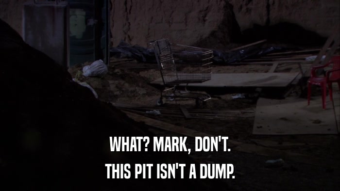 WHAT? MARK, DON'T. THIS PIT ISN'T A DUMP. 