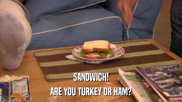 SANDWICH! ARE YOU TURKEY OR HAM? 