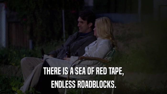 THERE IS A SEA OF RED TAPE, ENDLESS ROADBLOCKS. 