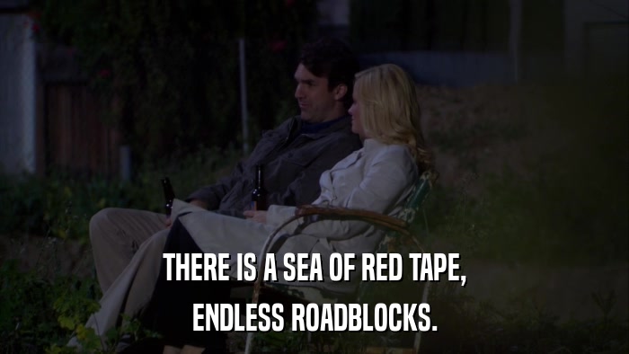 THERE IS A SEA OF RED TAPE, ENDLESS ROADBLOCKS. 