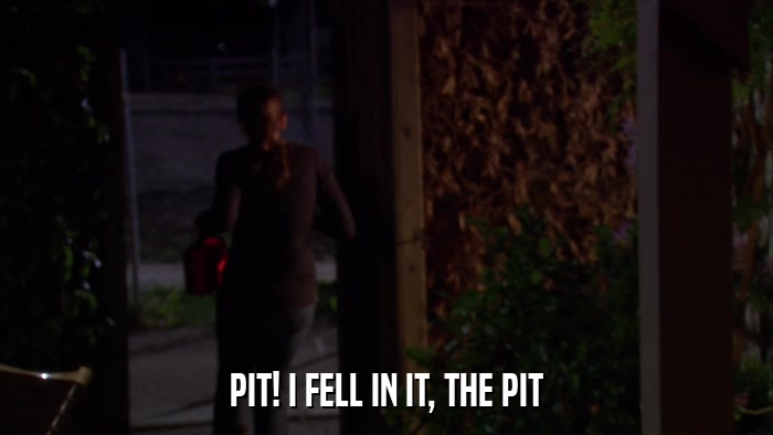 PIT! I FELL IN IT, THE PIT  