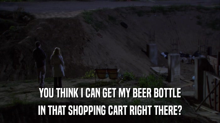YOU THINK I CAN GET MY BEER BOTTLE IN THAT SHOPPING CART RIGHT THERE? 