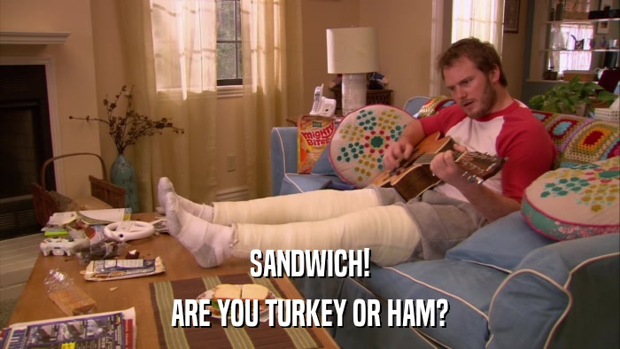 SANDWICH! ARE YOU TURKEY OR HAM? 