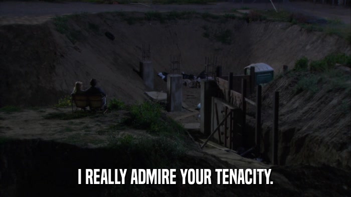 I REALLY ADMIRE YOUR TENACITY.  