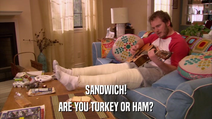 SANDWICH! ARE YOU TURKEY OR HAM? 