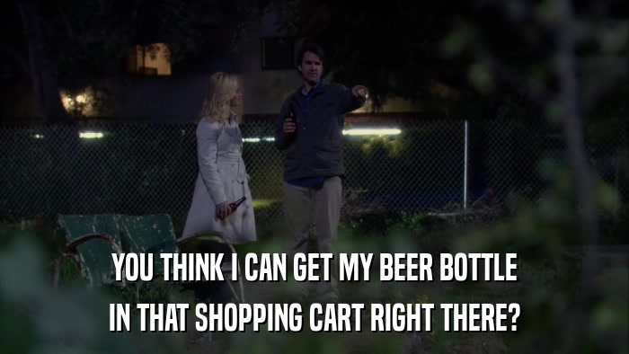 YOU THINK I CAN GET MY BEER BOTTLE IN THAT SHOPPING CART RIGHT THERE? 