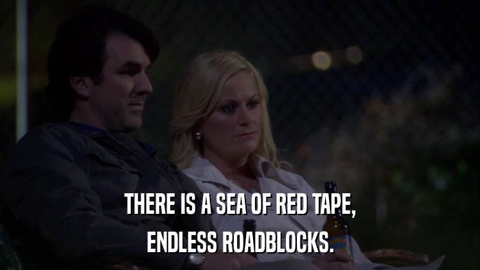 THERE IS A SEA OF RED TAPE, ENDLESS ROADBLOCKS. 