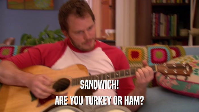 SANDWICH! ARE YOU TURKEY OR HAM? 
