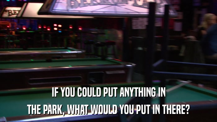 IF YOU COULD PUT ANYTHING IN THE PARK, WHAT WOULD YOU PUT IN THERE? 