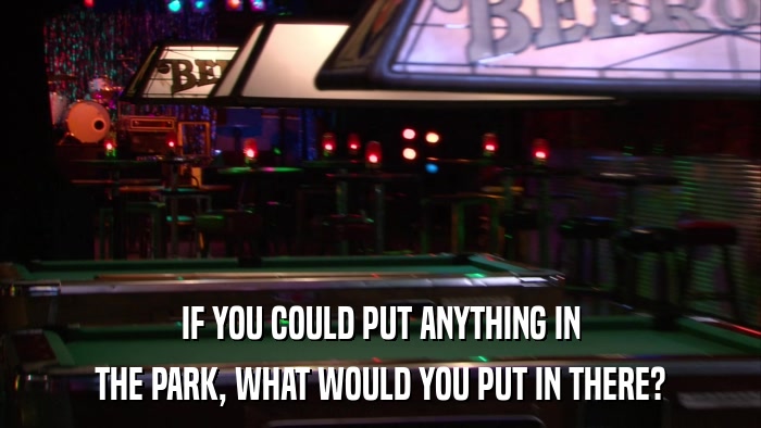 IF YOU COULD PUT ANYTHING IN THE PARK, WHAT WOULD YOU PUT IN THERE? 