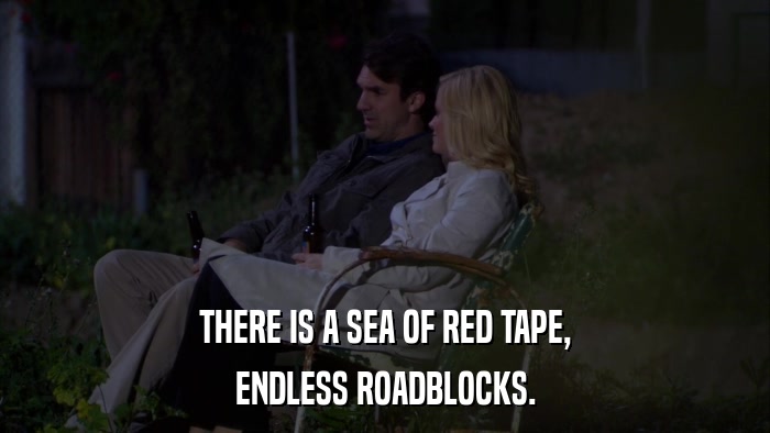 THERE IS A SEA OF RED TAPE, ENDLESS ROADBLOCKS. 