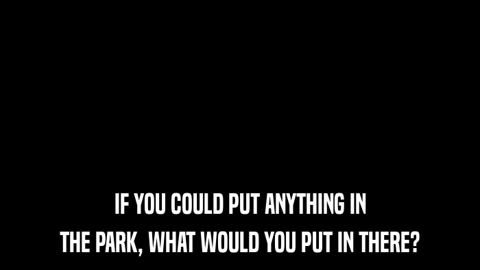 IF YOU COULD PUT ANYTHING IN THE PARK, WHAT WOULD YOU PUT IN THERE? 