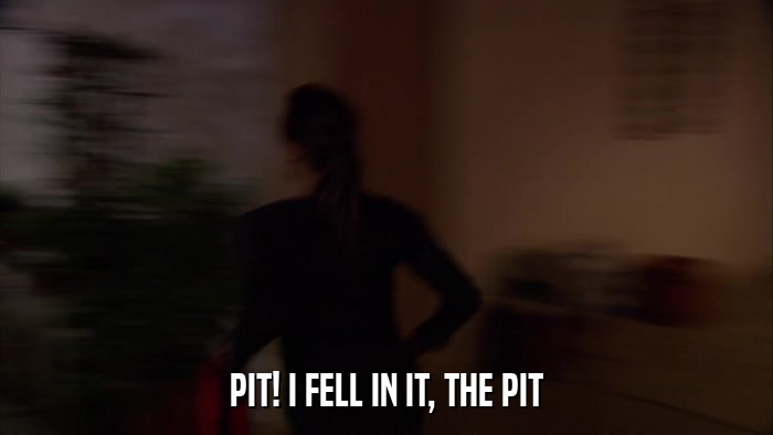 PIT! I FELL IN IT, THE PIT  