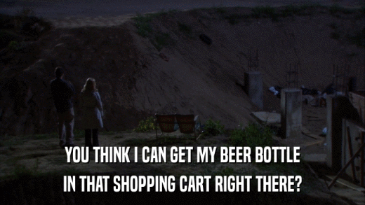 YOU THINK I CAN GET MY BEER BOTTLE IN THAT SHOPPING CART RIGHT THERE? 