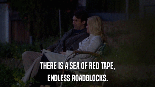 THERE IS A SEA OF RED TAPE, ENDLESS ROADBLOCKS. 