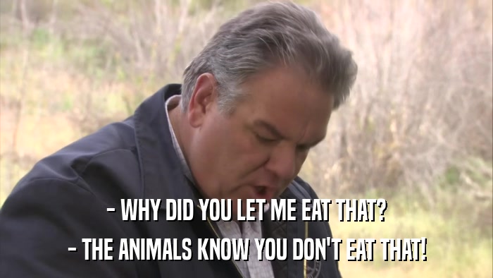 - WHY DID YOU LET ME EAT THAT? - THE ANIMALS KNOW YOU DON'T EAT THAT! 