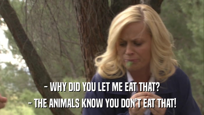 - WHY DID YOU LET ME EAT THAT? - THE ANIMALS KNOW YOU DON'T EAT THAT! 