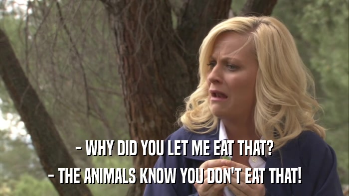 - WHY DID YOU LET ME EAT THAT? - THE ANIMALS KNOW YOU DON'T EAT THAT! 