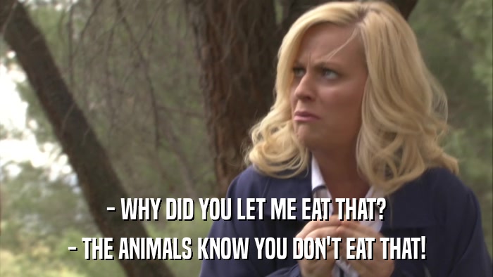 - WHY DID YOU LET ME EAT THAT? - THE ANIMALS KNOW YOU DON'T EAT THAT! 