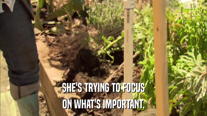 SHE'S TRYING TO FOCUS ON WHAT'S IMPORTANT. 