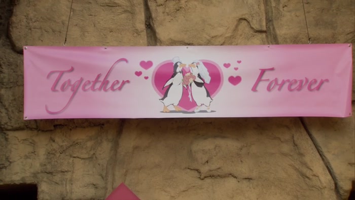 LESLIE HAS A ZOO PROMOTION,  