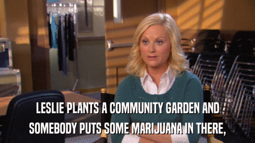 LESLIE PLANTS A COMMUNITY GARDEN AND SOMEBODY PUTS SOME MARIJUANA IN THERE, 