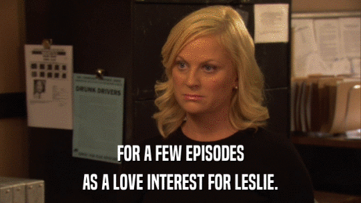 FOR A FEW EPISODES AS A LOVE INTEREST FOR LESLIE. 