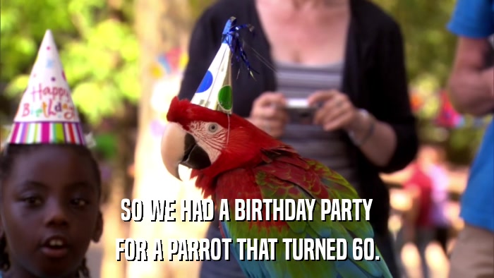 SO WE HAD A BIRTHDAY PARTY FOR A PARROT THAT TURNED 60. 