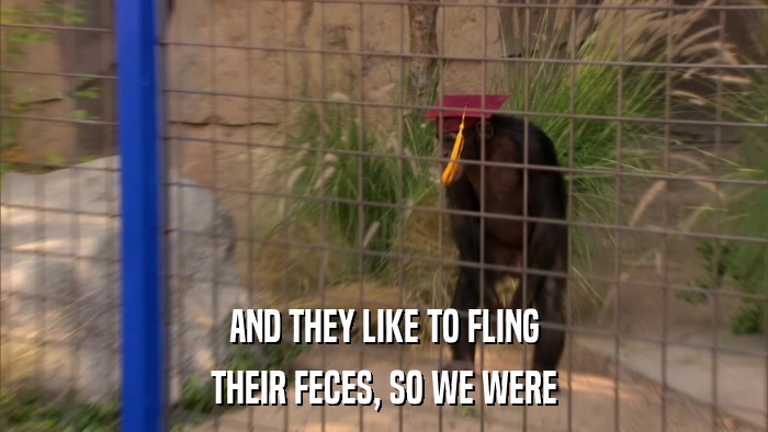 AND THEY LIKE TO FLING THEIR FECES, SO WE WERE 